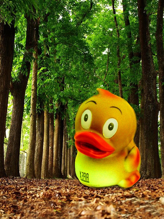 Creation of Hammer duck: Step 1